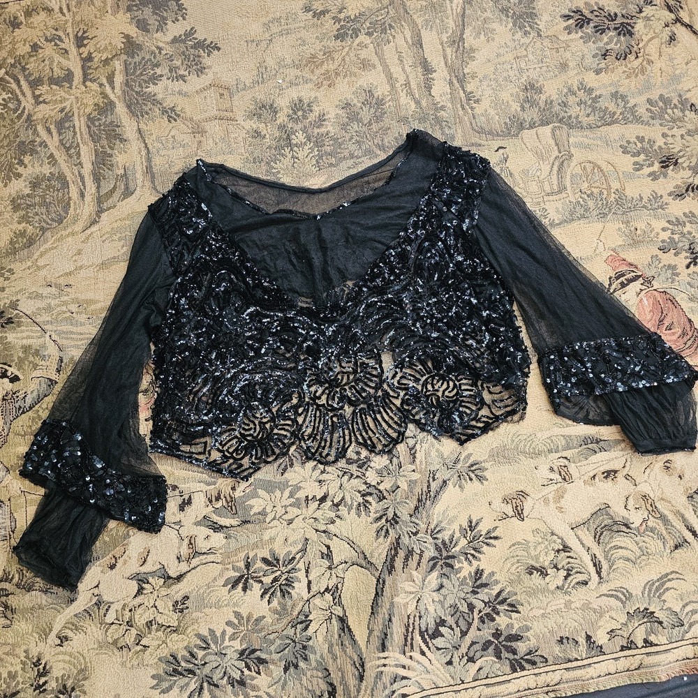Unbelievable‎ Rare Chiffon Fully Sequined Edwardian 1910s 20s Blouse Top Antique